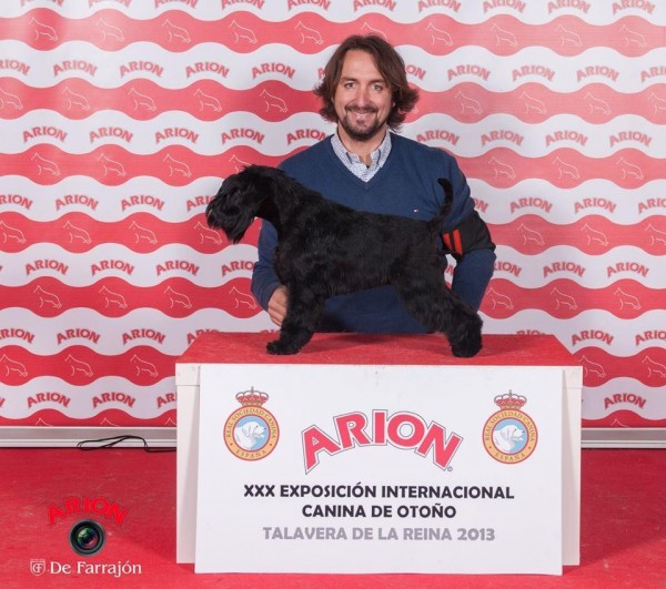 Tula en Talavera 2013