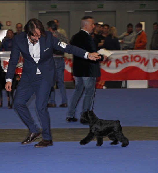 Can Rayo Canela Fina en Bilbao-2015