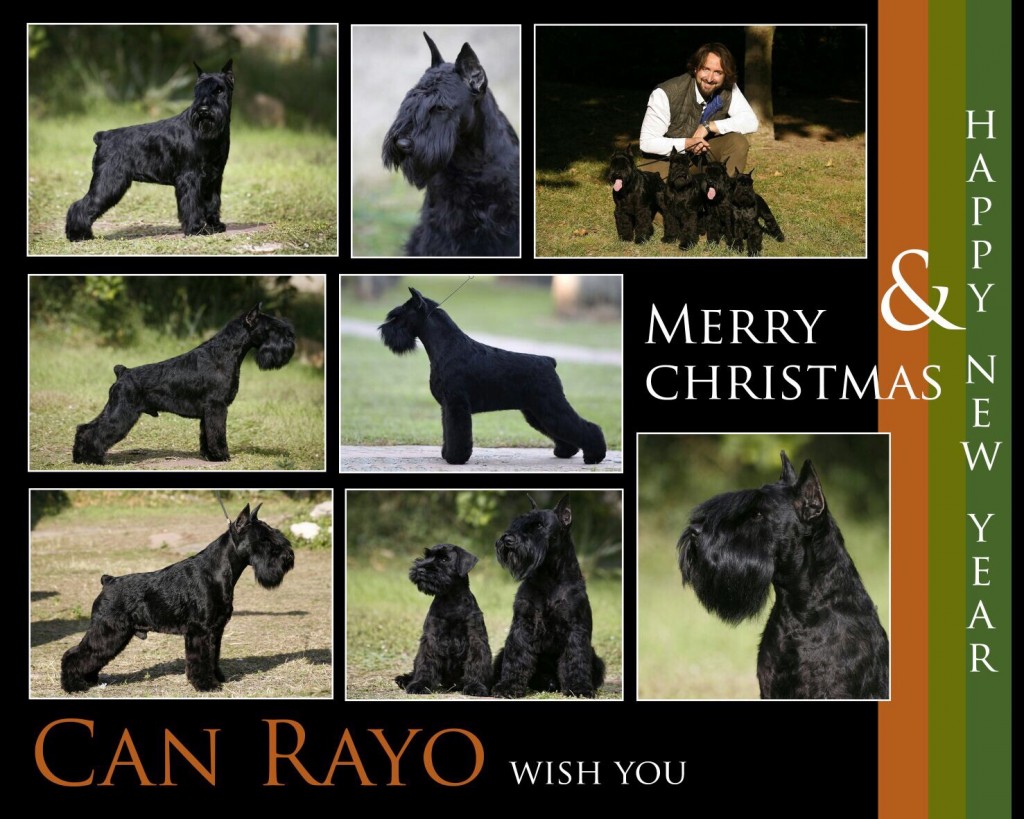 Can Rayo os desea Feliz Navidad 2015