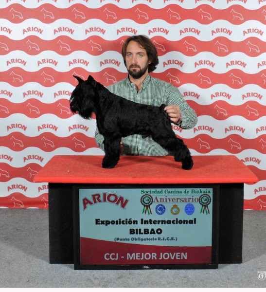 Uzi Latoya del Casa di vita-Bilbao 2015