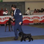 Uzi Latoya del Casa di vita-Bilbao 2015 en el ring