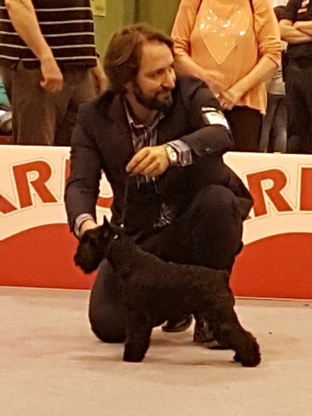 Bijou de Can Rayo en la exposición internacional de Madrid 2016 Bijou de Can Rayo en la exposición internacional de Madrid 2016