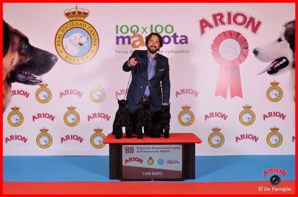 Can Rayo en la exposición internacional de Madrid 2016 Can Rayo en la exposición internacional de Madrid 2016