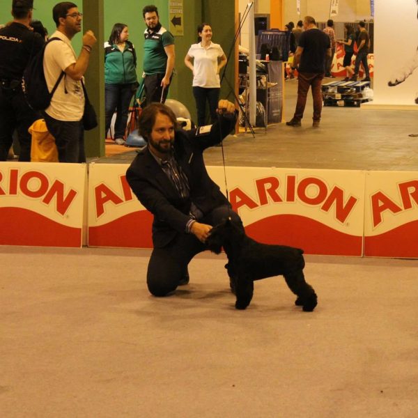 Canela Fina de Can Rayo en la exposición internacional de Madrid 2016 Canela Fina de Can Rayo en la exposición internacional de Madrid 2016