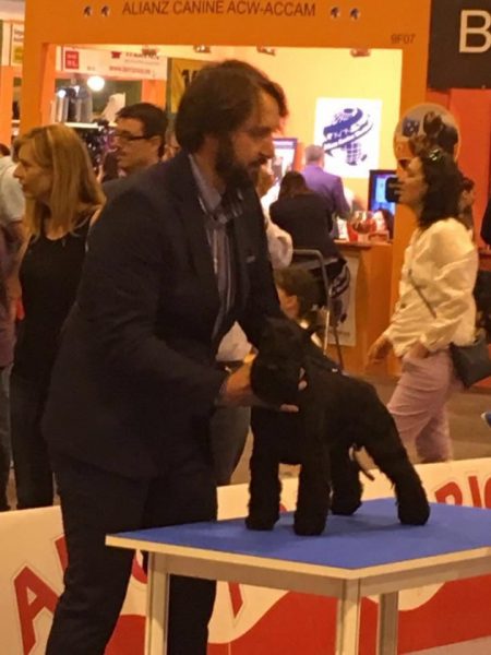 Uzi Latoya del Casa di Vita en la exposición internacional de Madrid 2016 Uzi Latoya del Casa di Vita en la exposición internacional de Madrid 2016