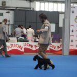 Nacional Martorell 2016 Canela Fina de Can Rayo