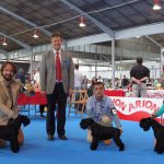 Nacional Martorell 2016 Canela Fina de Can Rayo, Sexy Girl de Aduna y Victorious Star to Can Rayo-Tyson