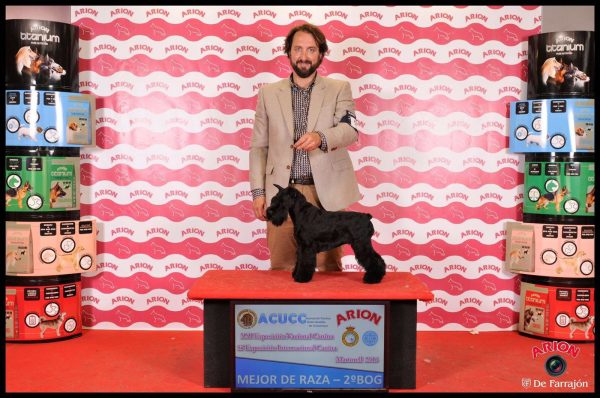 Nacional Martorell 2016 Canela Fina de Can Rayo, segunda Grupo 2