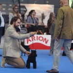 Nacional Martorell 2016 SEXY GIRL DE ADUANA