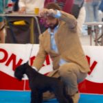 jch-uzi-latoya-del-casa-di-vita-en-ring-talavera-de-la-reina-2