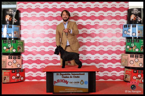 sexy-girl-de-aduana-ch-espana-jr-en-podium-talavera-de-la-reina