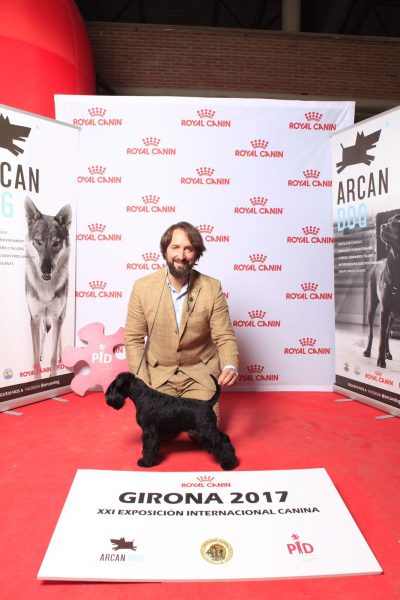 Je suis Jolie de Can Rayo en exposición internacional de Girona 2017 Je suis Jolie de Can Rayo en exposición internacional de Girona 2017