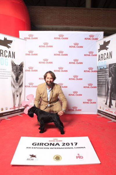 UZI Latoya del Casa di Vita (Can Rayo) en exposición internacional de Girona 2017 UZI Latoya del Casa di Vita (Can Rayo) en exposición internacional de Girona 2017