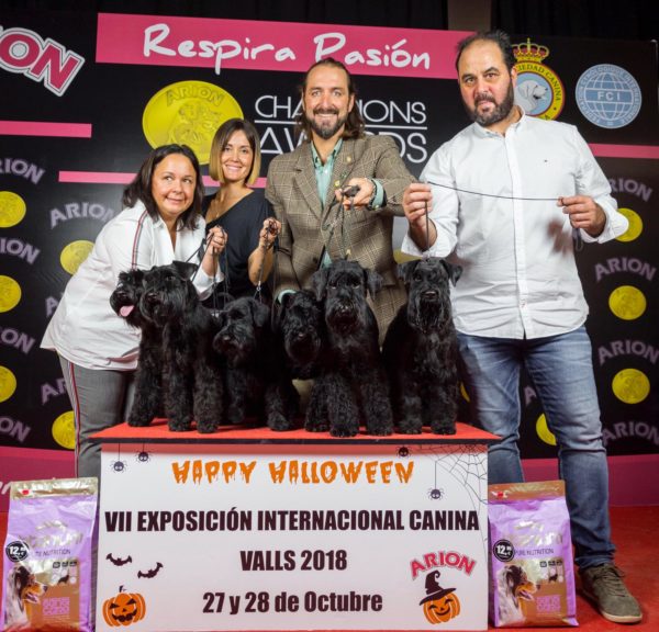 Can Rayo Schnauzer Miniatura Negro