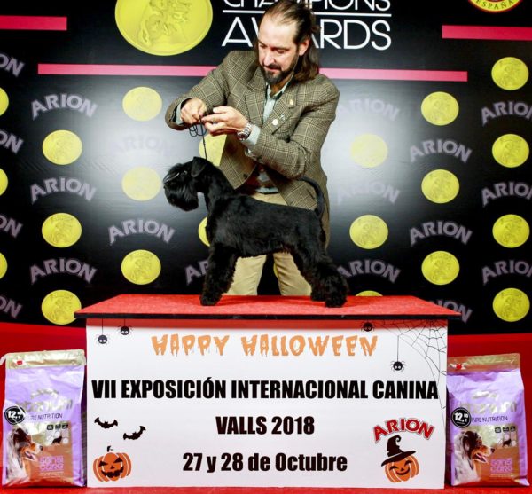 VANITY PIPPA de CAN RAYO