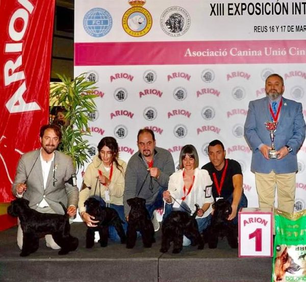 Grupo de cría Can Rayo en Reus 2019 - Schnauzer Miniatura negro
