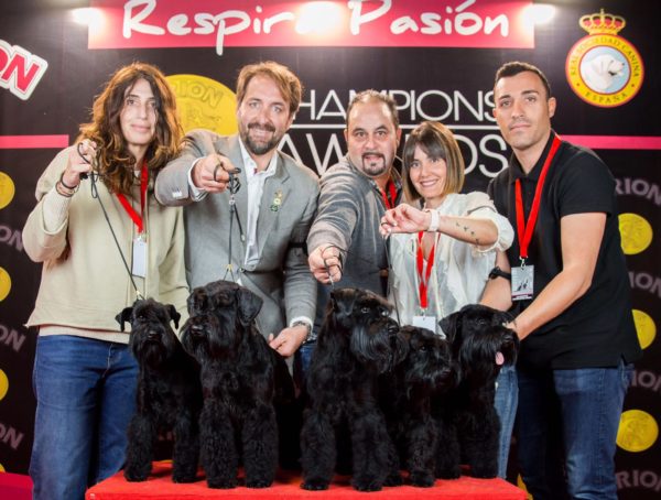 Grupo de cría Can Rayo en Reus 2019 - Schnauzer Miniatura negro