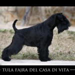 Tula Fajra d’el Casa di Vita