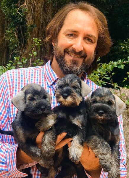 Can Rayo comienza la cría de schnauzer miniatura sal y pimienta