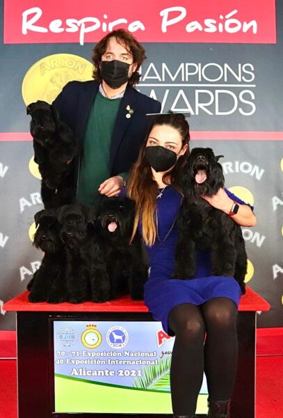 CAN RAYO team en Alicante 2021 - Schnauzer Miniatura Negro