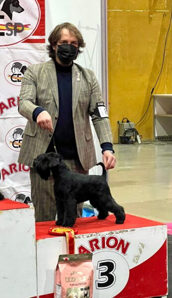 Yoko Ono Lennon de Can Rayo en Alicante 2021 BIS3 junior - Schnauzer Miniatura Negro