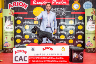 Victorious Star Yago "Uga" en Cassà de la Selva 2022