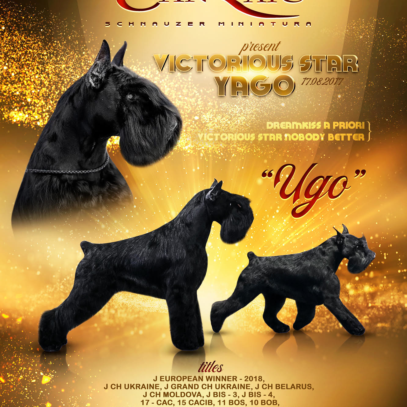 J. EuCh. y MultiCh. Victorious Star Yago «Uga»