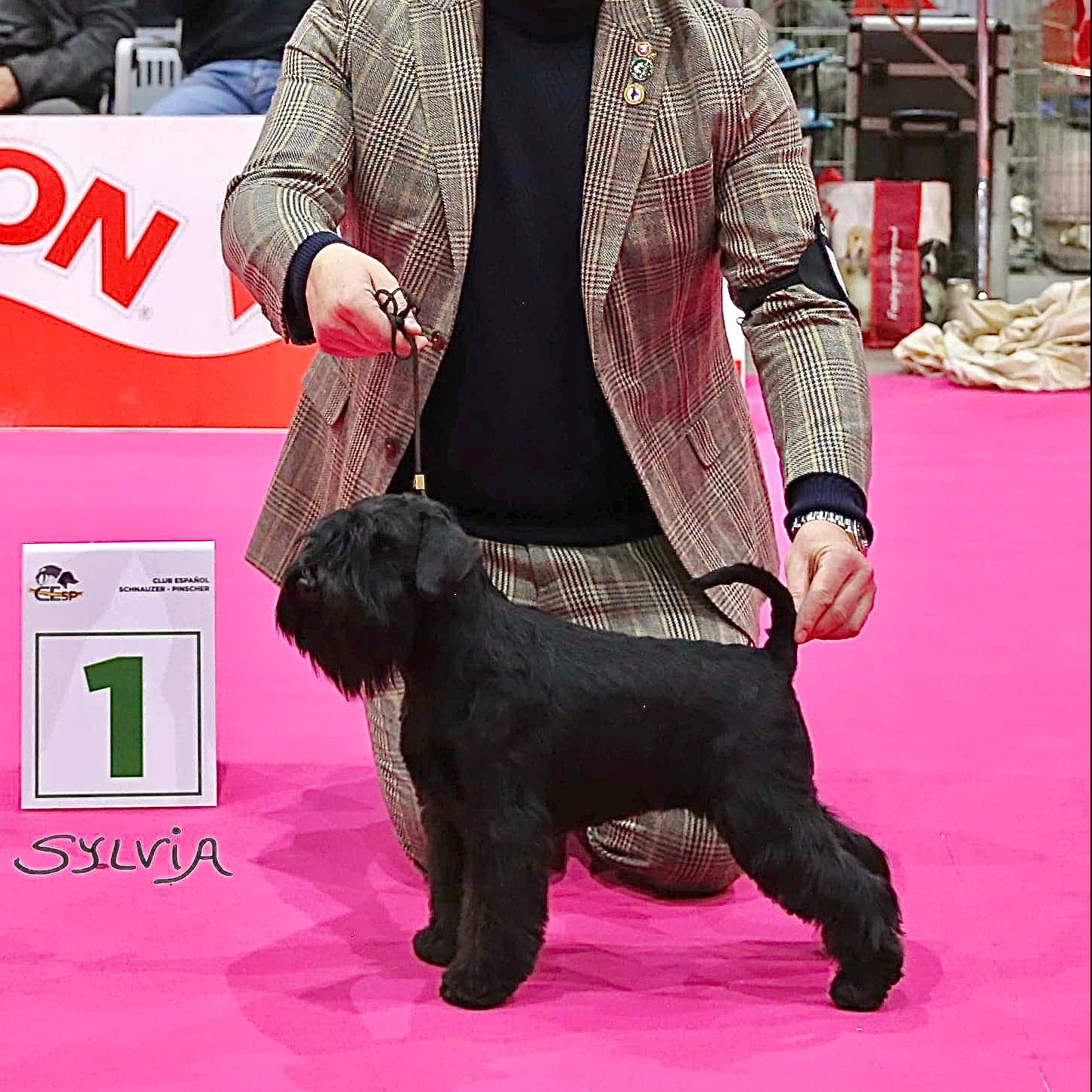 JCh. Yoko Ono Lennon de Can Rayo