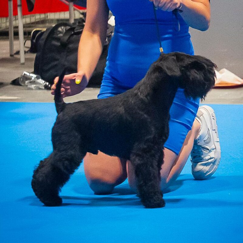 JCh. Emerson Fittipaldi de Can Rayo