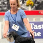 Hugo Boss de CAN RAYO - Schnauzer Miniatura - Sarajevo Winner