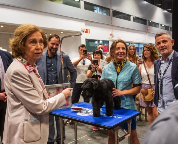 Su Majestad dándonos la Enhorabuena por el WW puppy de -Kenya- en World Dog Show Madrid 2020 (2022) - Schnauzer miniatura negro