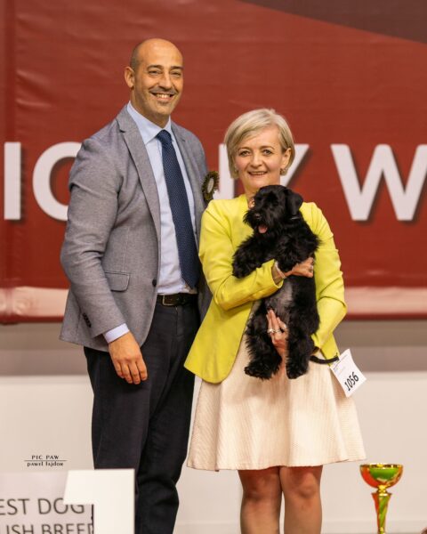 PROTOS BAILEYS LEWANDOWSKI de CAN RAYO en Kielce, Polonia PROTOS BAILEYS LEWANDOWSKI de CAN RAYO en Kielce, Polonia