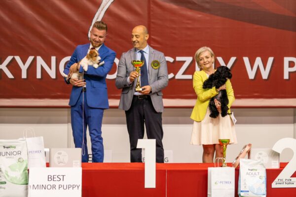 PROTOS BAILEYS LEWANDOWSKI de CAN RAYO en Kielce, Polonia PROTOS BAILEYS LEWANDOWSKI de CAN RAYO en Kielce, Polonia