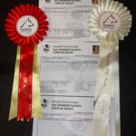 Exposición Internacional de Zaragoza 2022