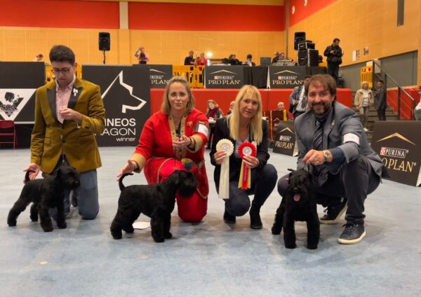 “Emmo”, “Yoko” y “Kenya” en Exposición Nacional de Zaragoza 2022