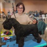 Patti Labelle de Can Rayo-Schnauzer Miniatura Negro en especial schnauzer Lyon 2023-arreglo