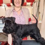 Patti Labelle de Can Rayo mejor Schnauzer Miniatura Negro en Auch, Francia 2023