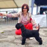 Patti Labelle de Can Rayo mejor Schnauzer Miniatura Negro en Auch, Francia 2023