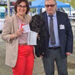 Patti Labelle de Can Rayo mejor Schnauzer Miniatura Negro en Auch, Francia 2023