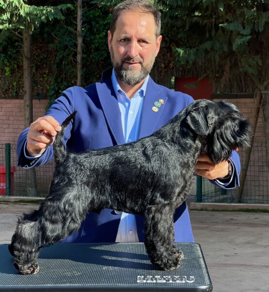 Subcampeón de mundo junior Emerson Fittipaldi de Can Rayo en exposición de Martorell 2023