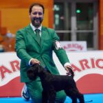 Schnauzer Miniatura Negro Kenya Moore de Can Rayo en Madrid 2023