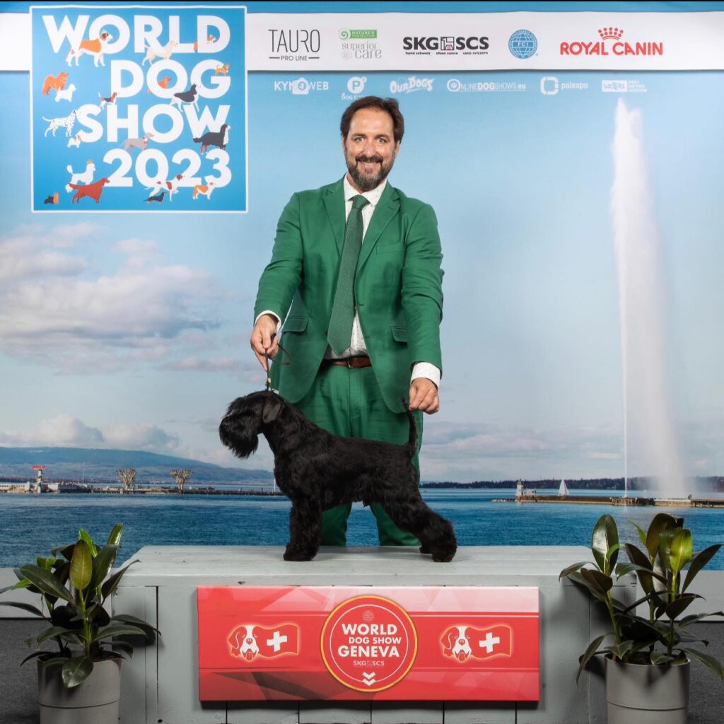 Ch.Esp. Emerson Fittipaldi de Can Rayo Emmo En WDS Suiza 2023