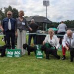 Schnauzer miniatura negro Qinder Panenka Legend De Can Rayo Campeón Internacional Junior en Polonia