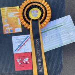 VICTORIOUS STAR FLIRT -Art- consigue CAC, CACIB y BOB Schanuzer Miniatura Negro en Beziers, Francia 2023