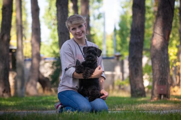 Schnauzer miniatura negro Black Bullet de Can Rayo