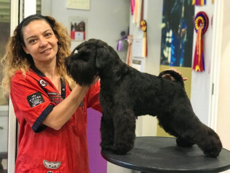 EPI de CAN RAYO (16 meses)