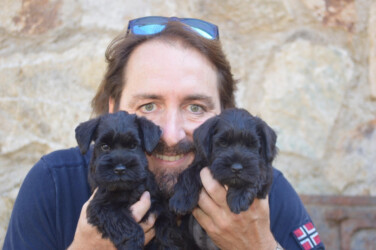 Happy Flower de CAN RAYO "Bagheera” & Hello Hippie de CAN RAYO “Bijou” (8,5 weeks) con Miquel