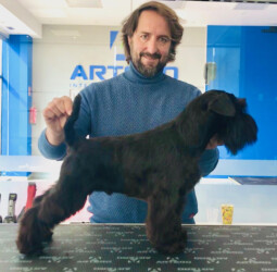 Harry Potter de Can Rayo “Harry” (8 months)