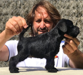 ONE LOVE de CAN RAYO “Love” (3 months)