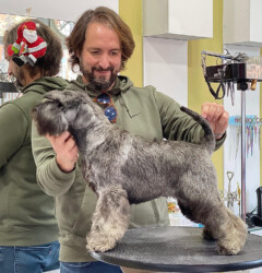 PENNY LANE de CAN RAYO “Gnuma” (8 meses)